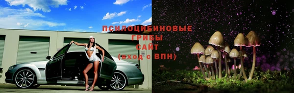 apvp Алексин