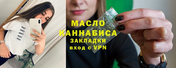 дживик Инта