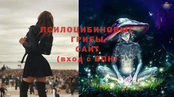 ECSTASY Абаза