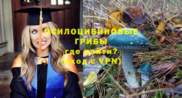 первитин Алексеевка