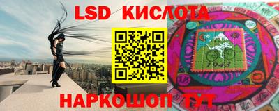 прущие грибы Ачхой-Мартан