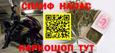 прущие грибы Ачхой-Мартан