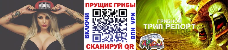 darknet наркотические препараты  Октябрьский  Галлюциногенные грибы мухоморы 